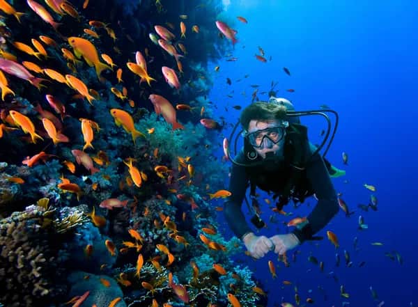 Tauchsafari in Indonesien - Entdecken Sie Komodo!