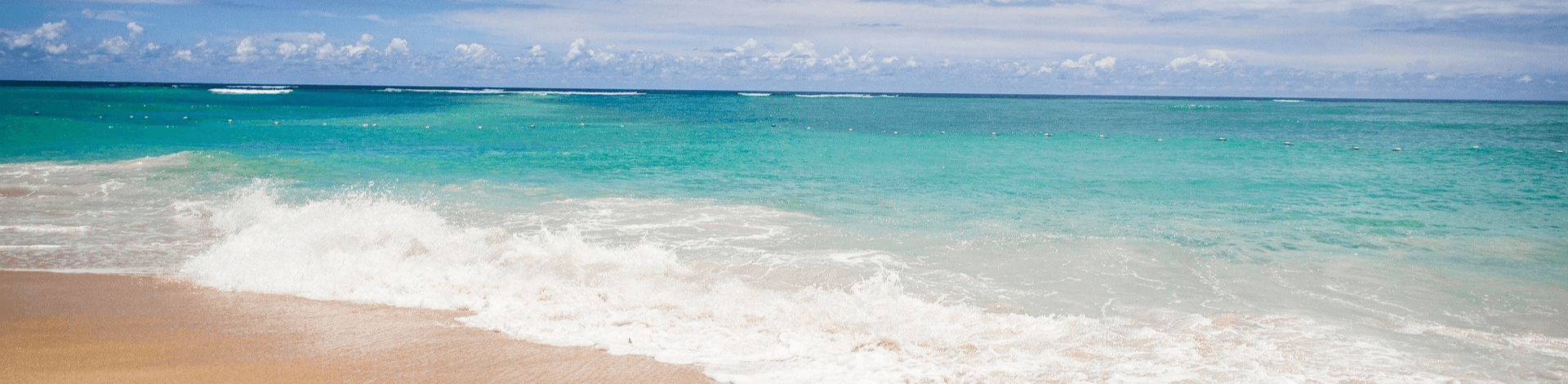 Tropical seas